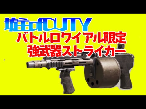 【CoDモバイル】バトロワ限定　強武器ストライカー