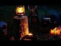 焚き火とタープ泊 ソロキャンプ Bush craft cooking in autumn colours