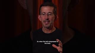 Inside the Hilarious Special Effects Suit with Tony Gardner On The Set Of Freaked