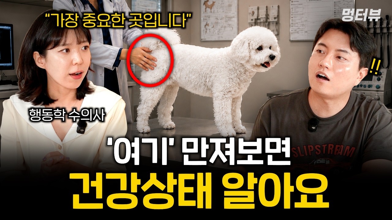 수의사가 알려주는 20살 넘게 건강한 강아지 비결 (영양제, 수의사꿀팁 공개) | 멍터뷰 ep.102