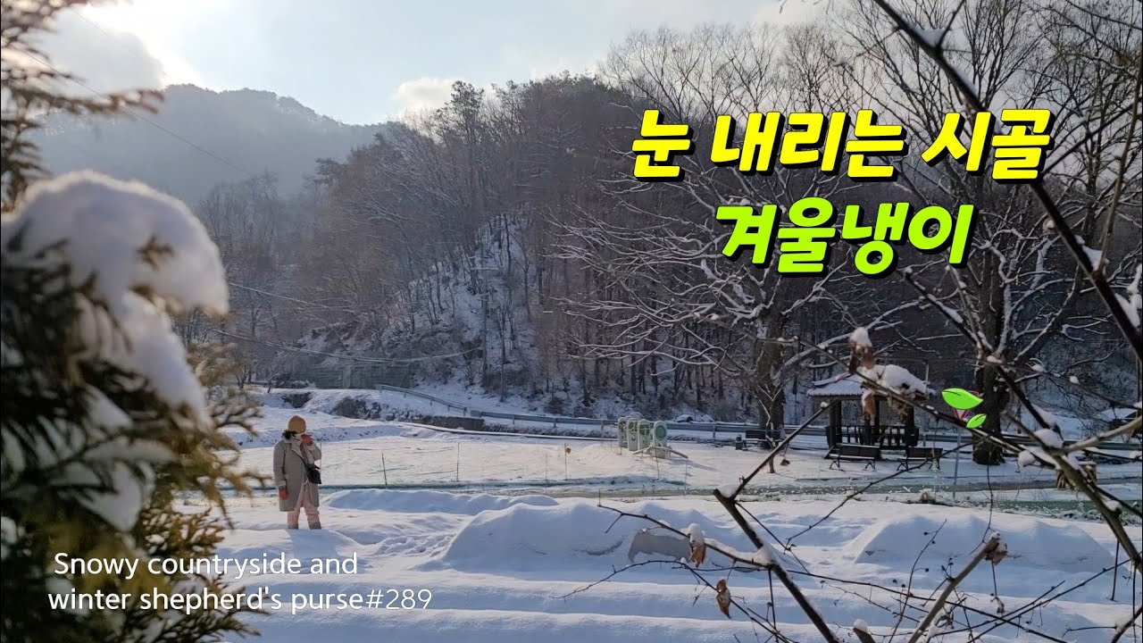 ENG | 냉이케는 소리를 들어보세요 🌿 켈수록 빠져듭니다✨️