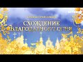 Схождение Благодатного огня в Храме Гроба Господня — смотрите 1 мая в 12:40 только на «Интере»