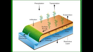 Class 12 Sichai Infiltration Percolation Seepage WUE