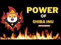 Unveiling the Shiba Inu Crypto Magic! 🐕✨