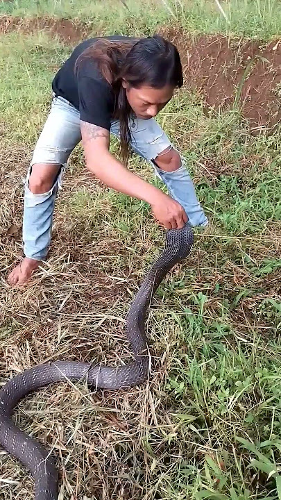 gemeteran kalo beginihmah #snake