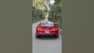650HP Camaro ZL1 relaxing idle... 6.2L Supercharged V8 ASMR