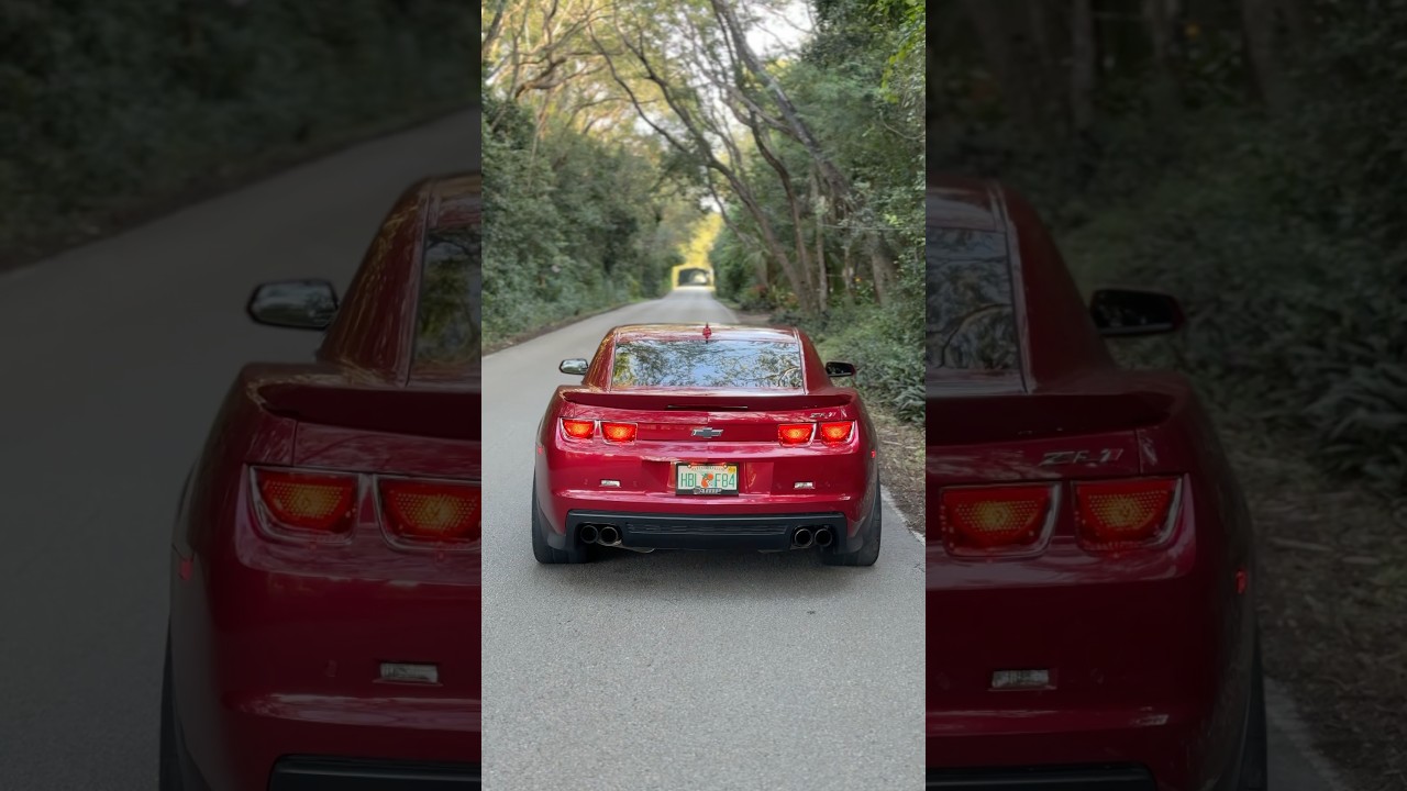 650HP Camaro ZL1 relaxing idle... 6.2L Supercharged V8 ASMR