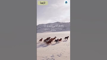 "ان الذين يجادلون في آيات الله .. تلاوة مؤثرة من الشيخ ياسر الدوسري تبكي القلوب" #القرآن_الكريم