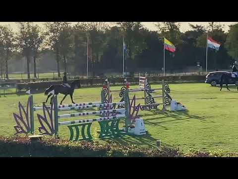 Nelson van to Roosakker CSIYH 7yo Final