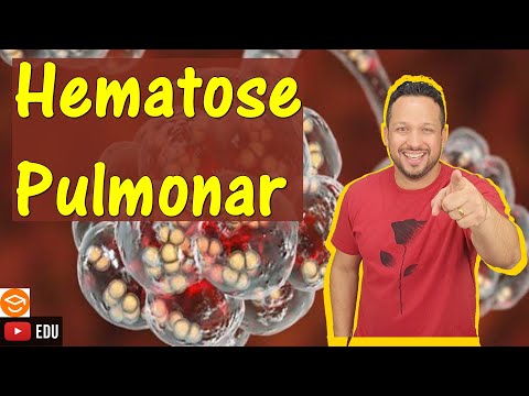 Hematose Pulmonar - Troca gasosa nos alvéolos pulmonares - Sistema Respiratório - Fisiologia Humana