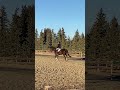 Enjoying a +16C day in February
