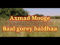 Axmad mooge baal gorey haldhaa kaban original