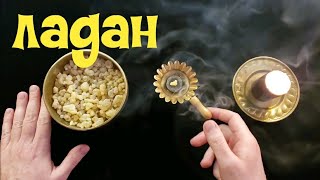 видео: ЛАДАН Смола Босвеллии картинка: ЛАДАН Смола Босвеллии