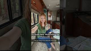 Finally at the Redwoods, Come along! #fun #shortvideo #comedy #forest #likeandsubscribe #nature