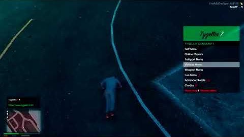 FIVEM  MOD MENU +DOWNLOAD WORK ALL SERVER