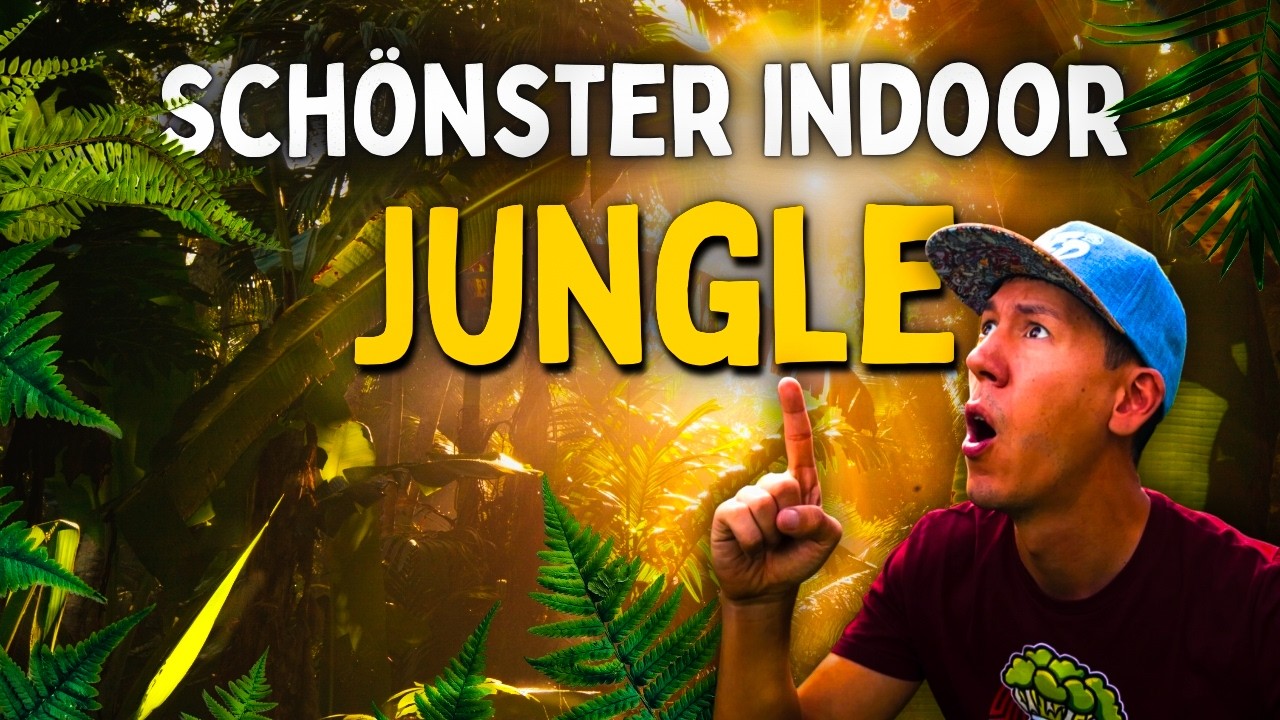 Deutschlands schönster Zimmerpflanzen indoor Jungle 😱 seltene Pflanzen Philodendron & Alocasia & Co.