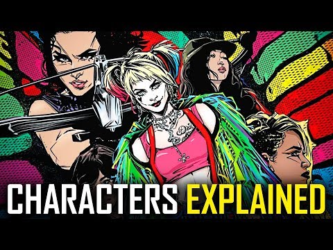 The Birds Of Prey Explained | Origins, Team Members, Best Comics And Everything 