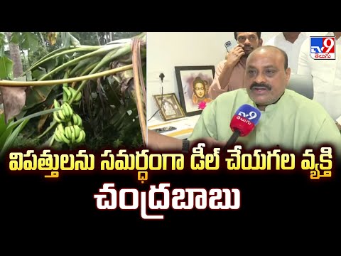 విపత్తులను సమర్ధంగా డీల్ చేయగల వ్యక్తి చంద్రబాబు : Minister Atchannaidu | CM Chandrababu - TV9 - TV9