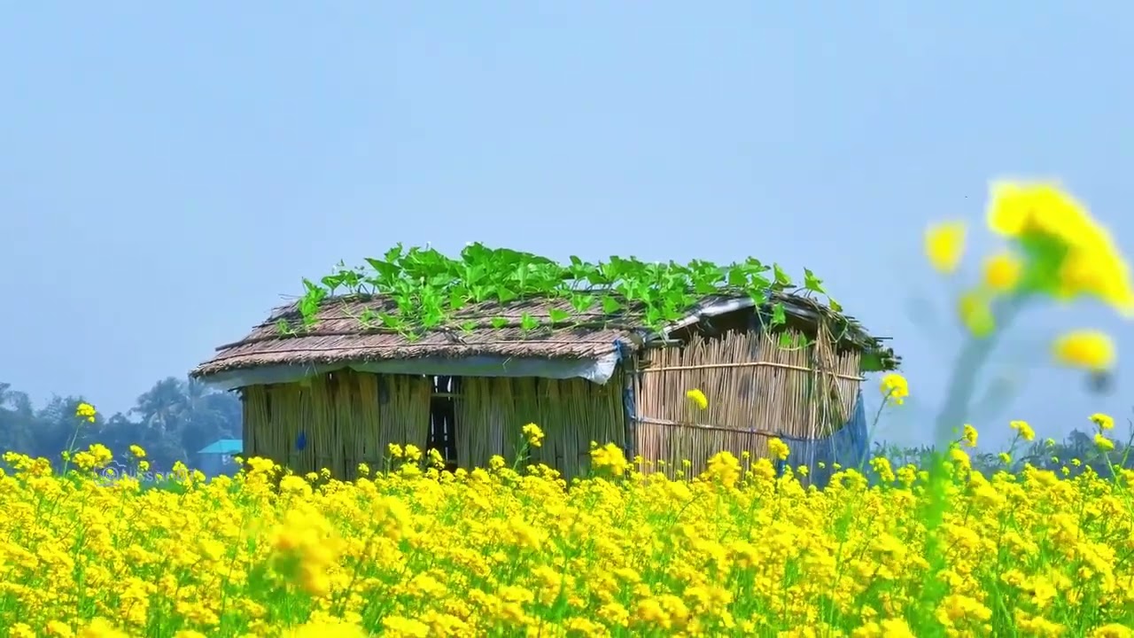 আল্লাহুম্মা সাল্লি আলা মুহাম্মাদিন নাবিয়্যিল উম্মিয়্যি।❤️‍🩹🤲