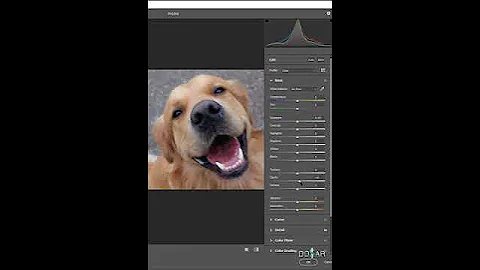 Remove+Noise+Photoshop+ +Short+Photoshop+Tutorial