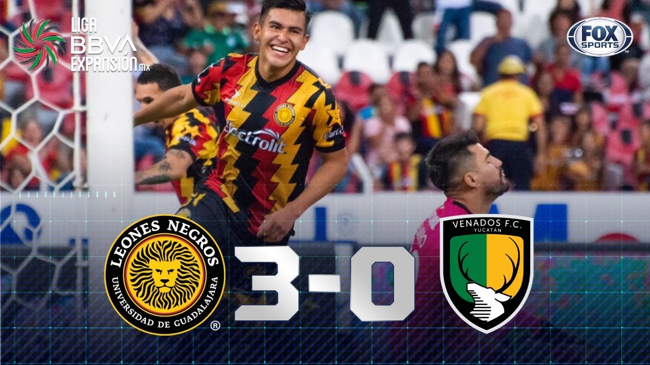 Goles y resumen del Leones Negros UDG 3-0 Venados FC en los Cuartos de  Final Vuelta Expansión MX | 22/11/2022 - VAVEL México