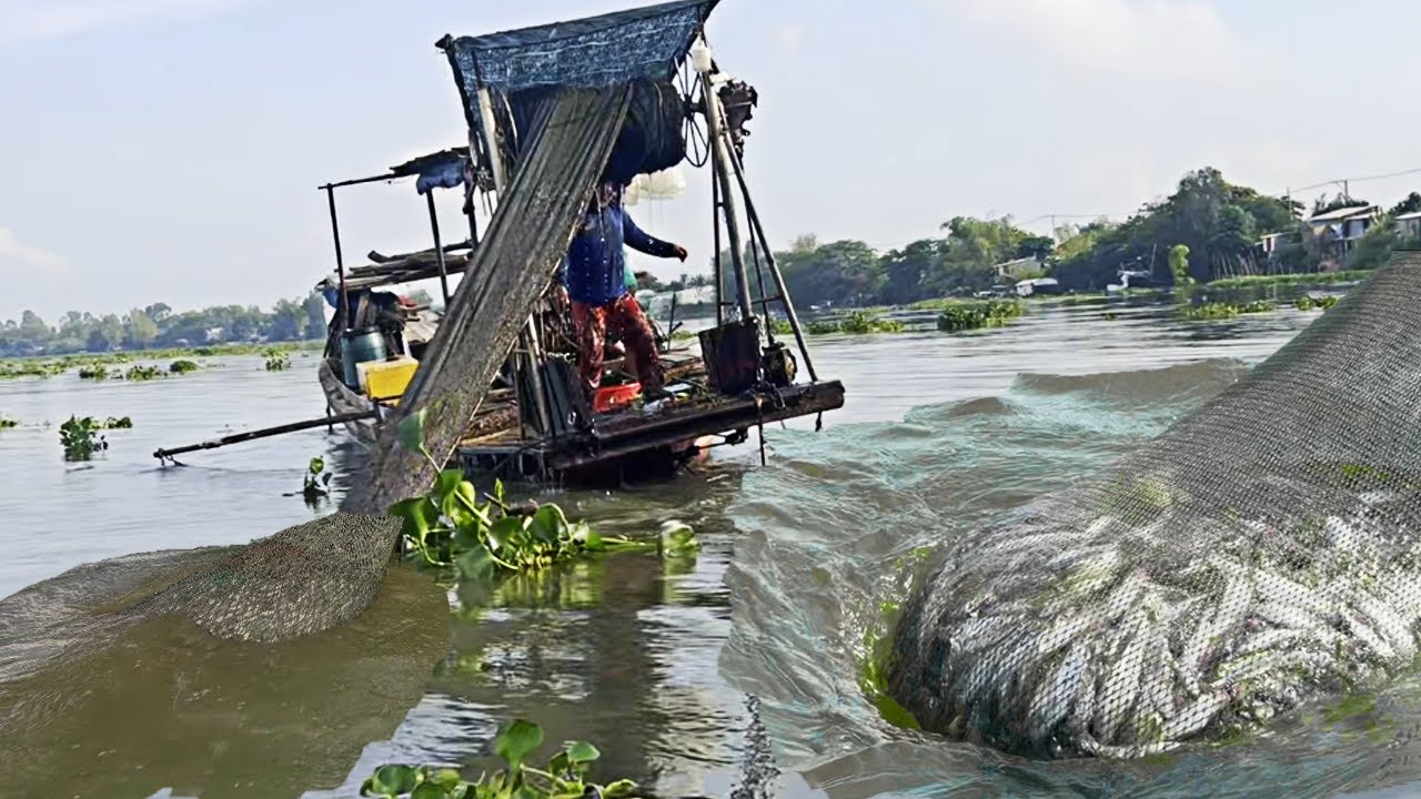 Mưu sinh cào dép trên sông Tiền và sông Hậu - Sông Nước Cửu Long - Nguyễn Hùng