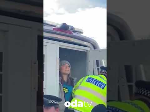 İsveçli aktivist Greta