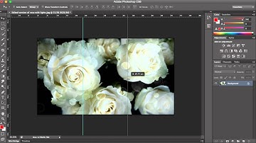 Digipak editing process