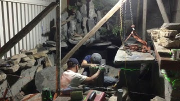 Shop cá cảnh phượng phong hồ cá nhà em bảo trần ( shop chuyên làm bể cá cảnh SĐT 0936878636