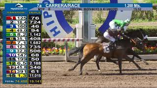 Vidéo de la course PMU PREMIO SOL LINDO