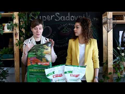 Как получить большой урожай винограда и голубики | Bona Forte для голубики