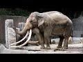 金沢動物園の動物たち 2018年3月10日