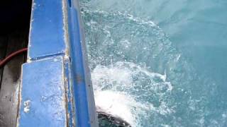 MVI_0884.AVI