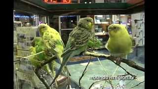 The Ark Pet Shop - Merrillville, Indiana
