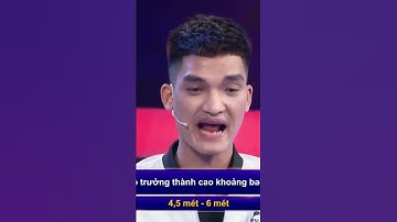 Trí Lực Sánh Đôi | HÁ HỐC MỒM với tài năng bịa đáp án của Mạc Văn Khoa #tlsd