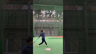 力が伝わるミートポイント #バッティング #野球