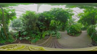 Magic Wings Butterfly House at the Museum of Life + Science in 360°