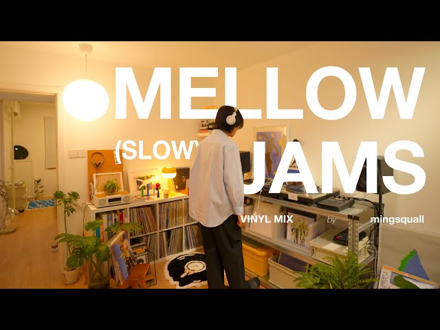 Mellow Slow Soul Funk Vinyl Mix by mingsquall [4K] class=