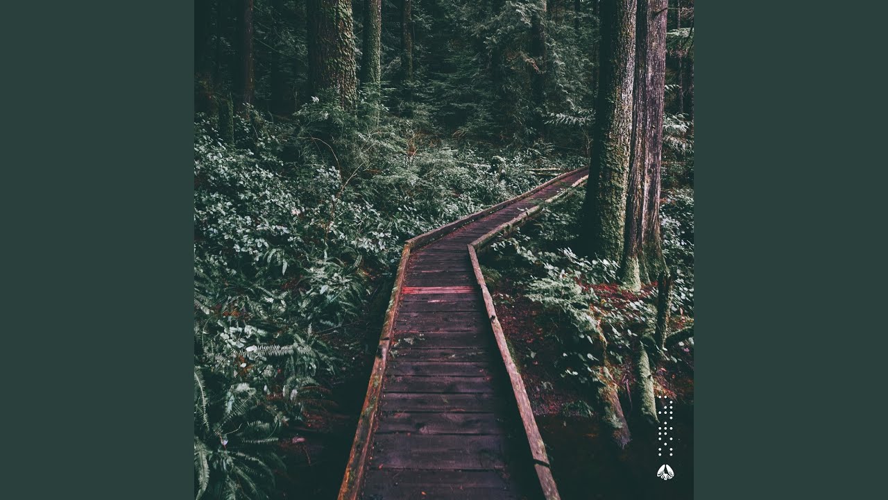 Watch forest on YouTube Watch forest on YouTube