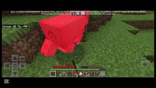 Minecraft oynadım