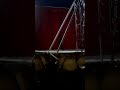 Circo hnos ricci ulas