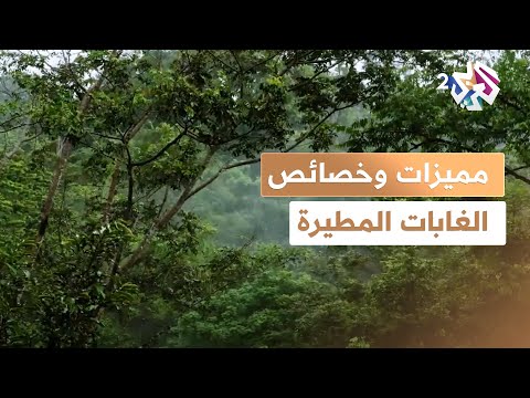 الغابات المطيرة أكثر النظم البيئية تنوع ا على وجه الأرض L وثائقي الغابات المطيرة أكثر النظم البيئية تنوع ا على وجه الأرض L وثائقي