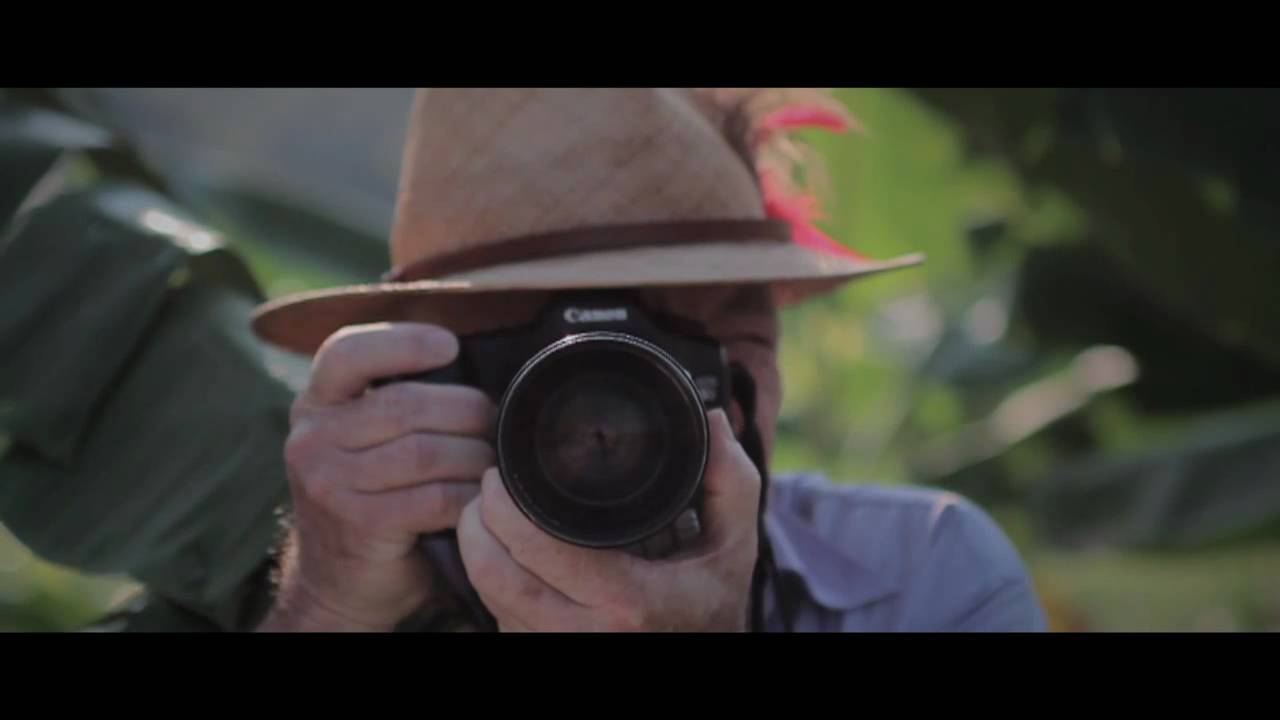 THE PASSIONATE ARTIST TRAILER