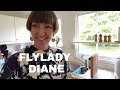 Flylady Zone 2, the kitchen (Working together, June 2017)