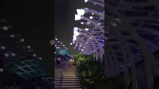 Glow Garden Imaginite