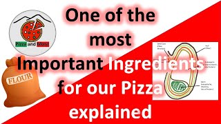 Pizza Flour - W-Value - Protein - all explained