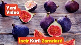 İncir Kürü Zararları Ve Yan Etkileri - Pratik Bilgi Bankası
