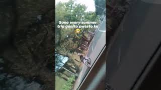 After batangas vacation follow me onFacebook https://www.facebook.com/jerome.dizon.1?mibextid=ZbWKwL