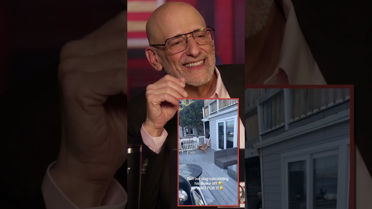 Dogs Are Truly a Man's Best Friend