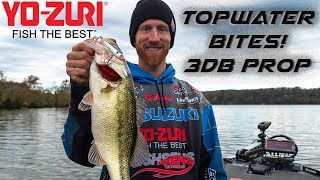 Topwater Bass Fishing with Brandon Card (Yo-Zuri 3DB Prop)